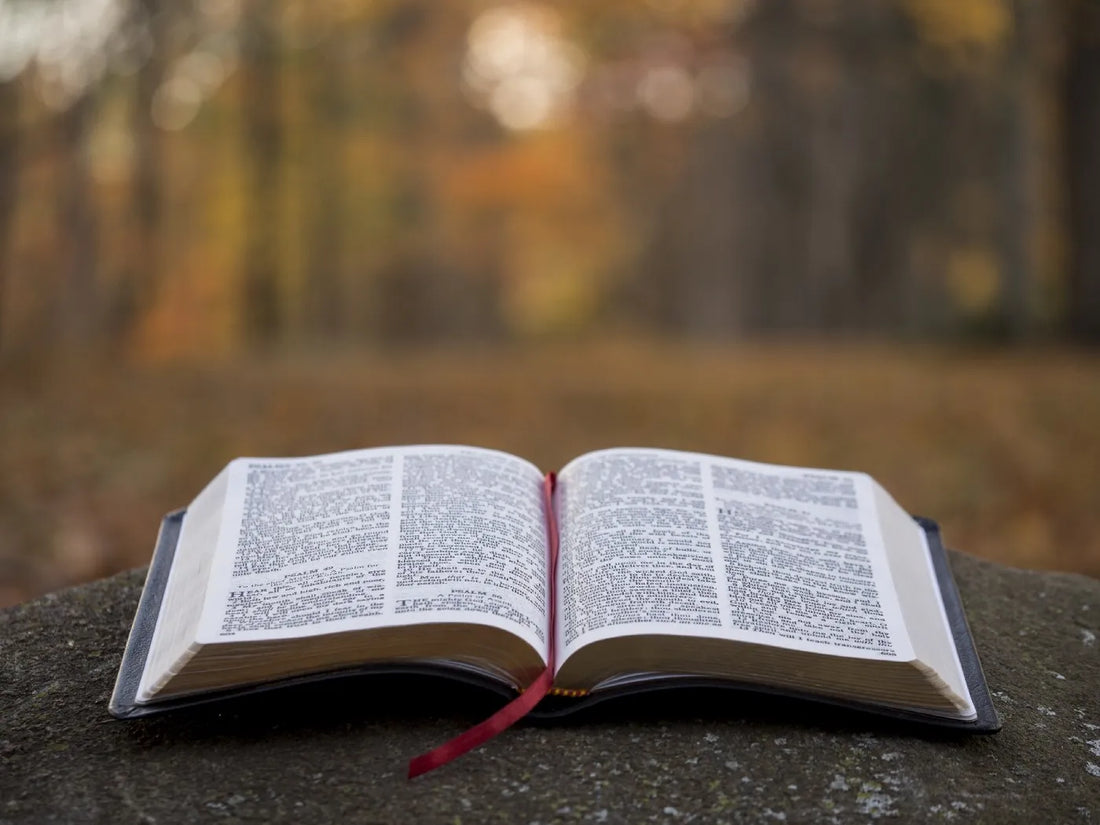 Renewing Your Mind with God’s Word Every Day